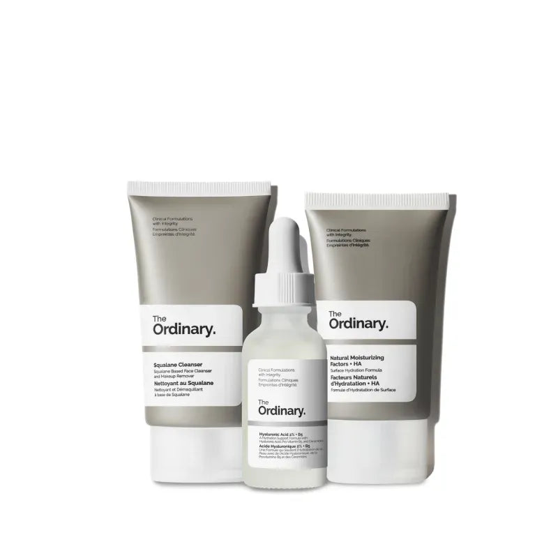 The Ordinary The Daily Set